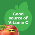 thumbnail image 6 of Mott's No Sugar Added Applesauce Variety Pack, 3.2 oz, 20 Count Clear Pouches, 6 of 15