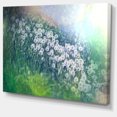 thumbnail image 2 of Mountain Plain with Little Flowers - Large Flower Canvas Art Print, 2 of 3