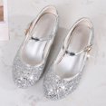 thumbnail image 2 of Toddler Flower Girls Dress Shoes Heel Wedding Party Shoes Ballet Dance Princess Glitter Shoes for Little Kid, 2 of 8