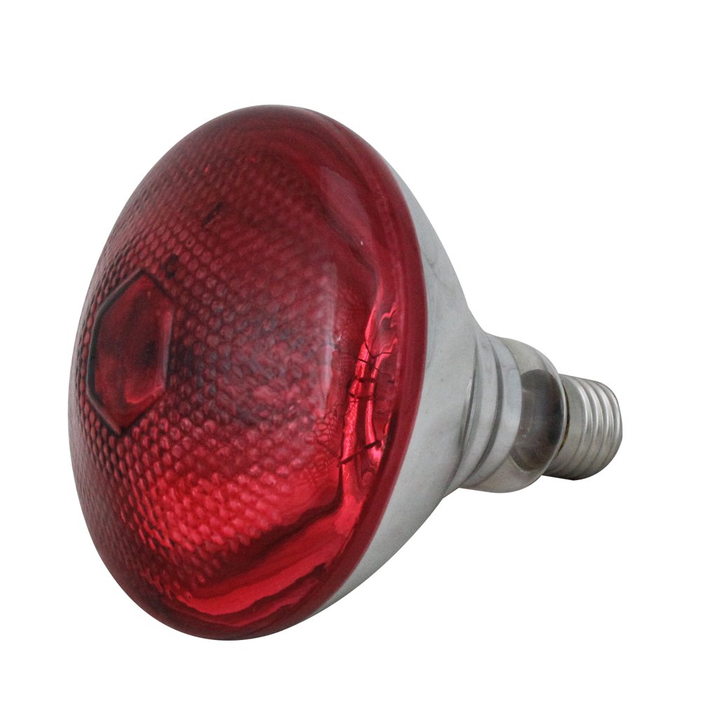 Incandescent Weatherproof 100 Watt Indoor/Outdoor Red Floodlight Bulb