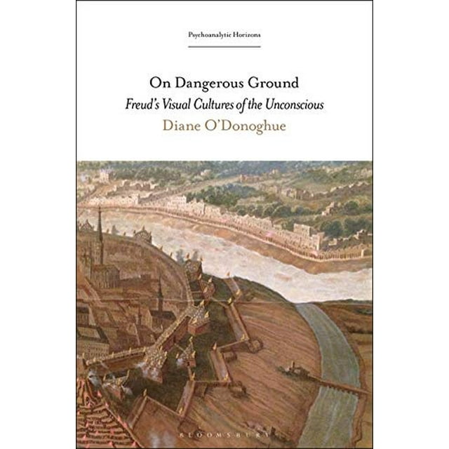 Sur Terrain Dangereux, Freuds Cultures Visuelles de l'Inconscient (Horizons Psychanalytiques)