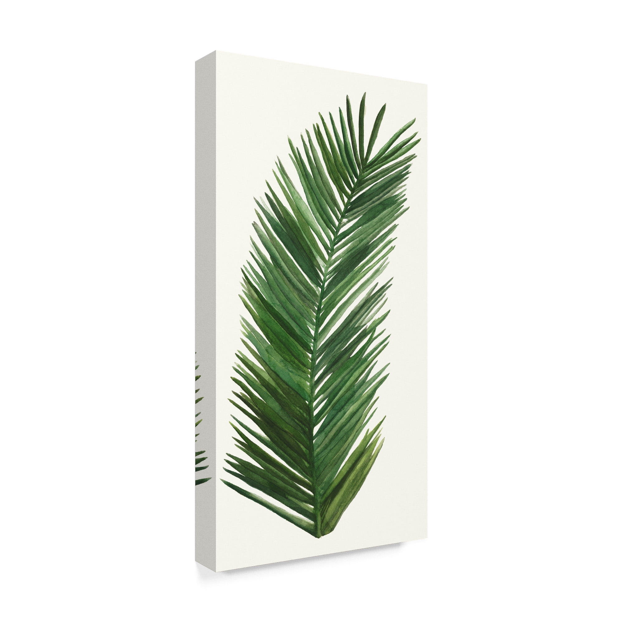 Trademark Fine Art 'Tropical Breeze Leaves V' Canvas Art by Naomi McCavitt
