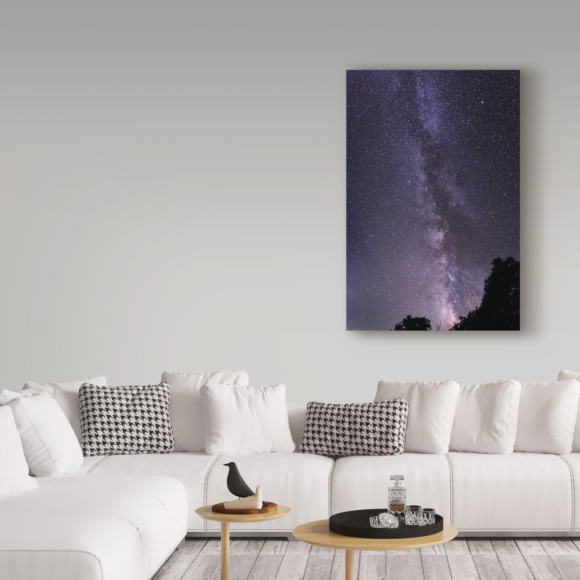 Trademark Fine Art 'Purple Milky Way' Canvas Art by Brenda Petrella Photography Llc