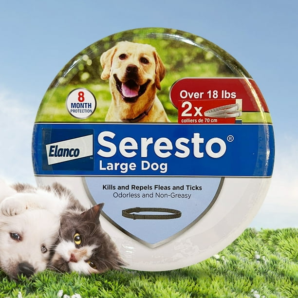 Collar antipulgas de goma, protección de 6 meses, prevención de alergias para perros y gatos, 2 uds.