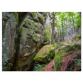 thumbnail image 2 of Wild Deep Moss Forest Ukraine - Impression sur Toile Paysage, 2 of 3