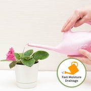 Perfect Plants African Violet Soil 2qt. - Hand Mixed Organic Plant Mix for Potted Violets