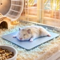 thumbnail image 2 of TFYZYY Pet Cooling Mat Metal Chill Pad Summer Heat Relief Bed Chew Proof Waterproof Reusable Cold Slab For Hamsters Rabbits Chinchillas Guinea Pigs Cage Habitat Decor, 2 of 6