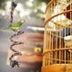 thumbnail image 4 of Cuerda de algodón colgante colorida, arnés de pie para pájaros, juguetes de cuerda de escalada para masticar loros, 4 of 8