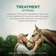 thumbnail image 4 of Jeringa de uso seguro con moxidectina en gel Horse Dewormer Quest de 15 ml, 4 of 8