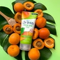 thumbnail image 3 of St. Ives Fresh Skin Apricot Face Scrub, Deep Exfoliator Skin Care for Clean, Glowing Skin, Oil-free Facial Scrub Made with 100% Natural Exfoliants, 6 oz, 6 Pack, 3 of 3