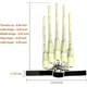 thumbnail image 2 of Articulated Finger Extensions, Halloween Articulated Fingers, 3D Printed Flexible Finger Extensions Fits All Finger Sizes Articulated Fingers White, 2 of 4
