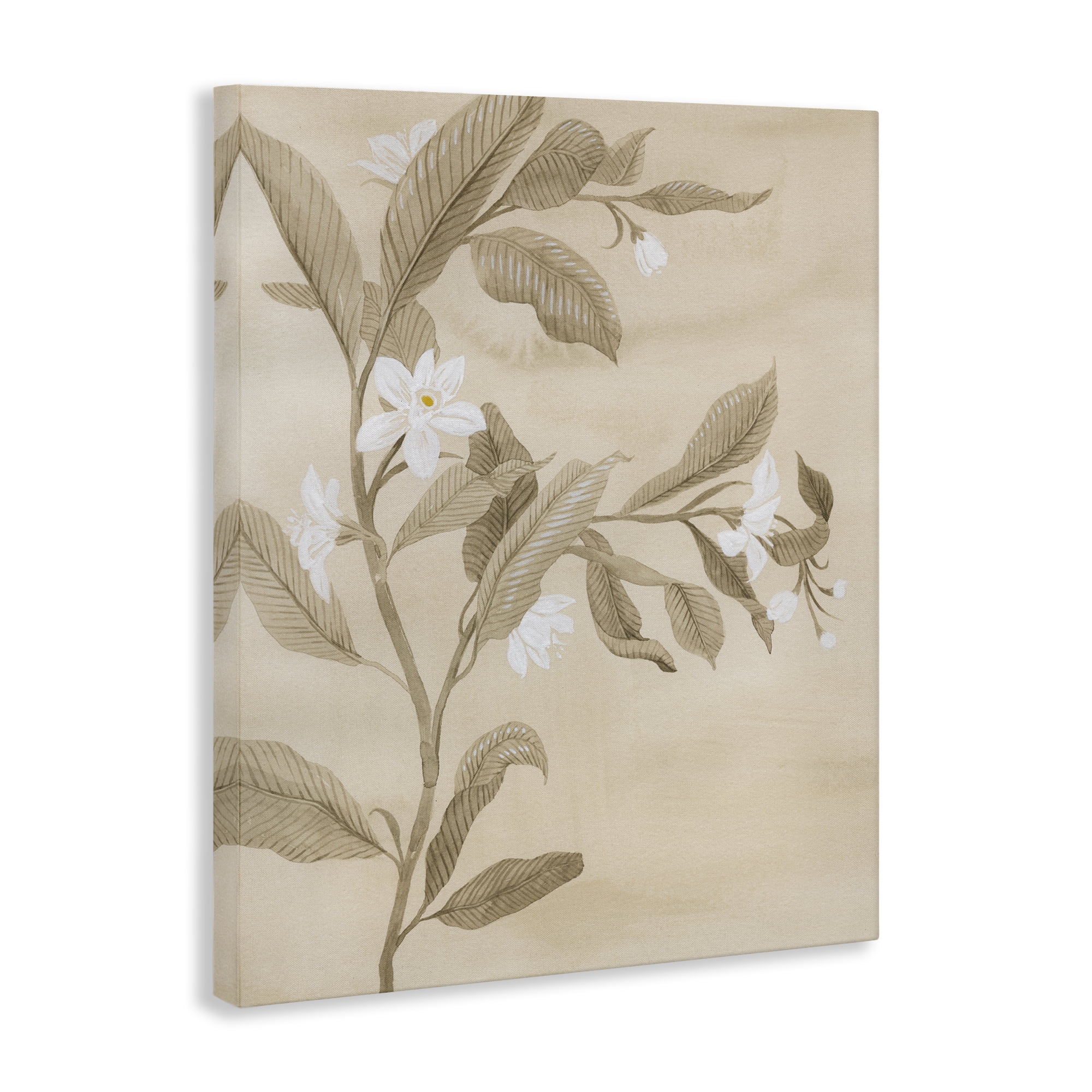 Stupell Industries Traditional White Daffodils Plants & Flowers Painting Wrapped Canvas Art Print Wall Art, 16 x 20