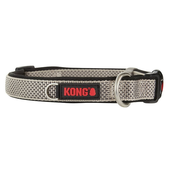 Kong Company Dog Collars & Leashes