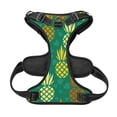thumbnail image 5 of Gaeub Pineapples1 Gaeub Pineapples1 No Pull Dog Harness, Secure and Adjustable Pet Vest for Outdoor Activities - X-Large, 5 of 8