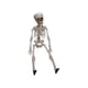 thumbnail image 1 of Huesos plásticos esqueléticos del cuerpo completo de la decoración de Halloween con las articulaciones posables los 40cm, 1 of 5