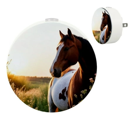 

YZUOUZY Night Light Bedroom Lamp Small Bedside Lamps Set of 2 Paint Mare Dusk