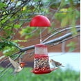 thumbnail image 5 of Mesh Tube Bird Feeders, All Metal,Wild Bird Feeder for Sunflower Seeds or Mealworm,Large Tray Weatherproof Roof for Outdoors Hanging, 5 of 6