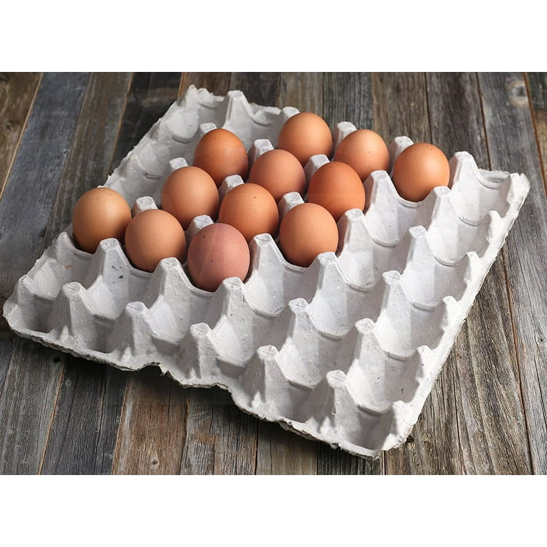 6 Pack Plastic Egg Trays, Each Holds 30 Eggs(#1) for Home Chicken Farmers,  Stackable Egg Cartons Hold Multiple Eggs, Great for Storing, Sorting, and