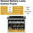thumbnail image 4 of Autocessking YTX20HL-BS Motorcycle Battery Sealed AGM 12V 18AH 300CCA, ATV Powersport Vehical Battery High Performance Maintenance Free For Motorcycle ATV UTV snowmobile, 4 of 7