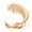 Beige Sand, variant on L'Oreal Paris Infallible Fresh Wear 24 Hr Powder Foundation Makeup, 330 Hazelnut, 0.31 oz