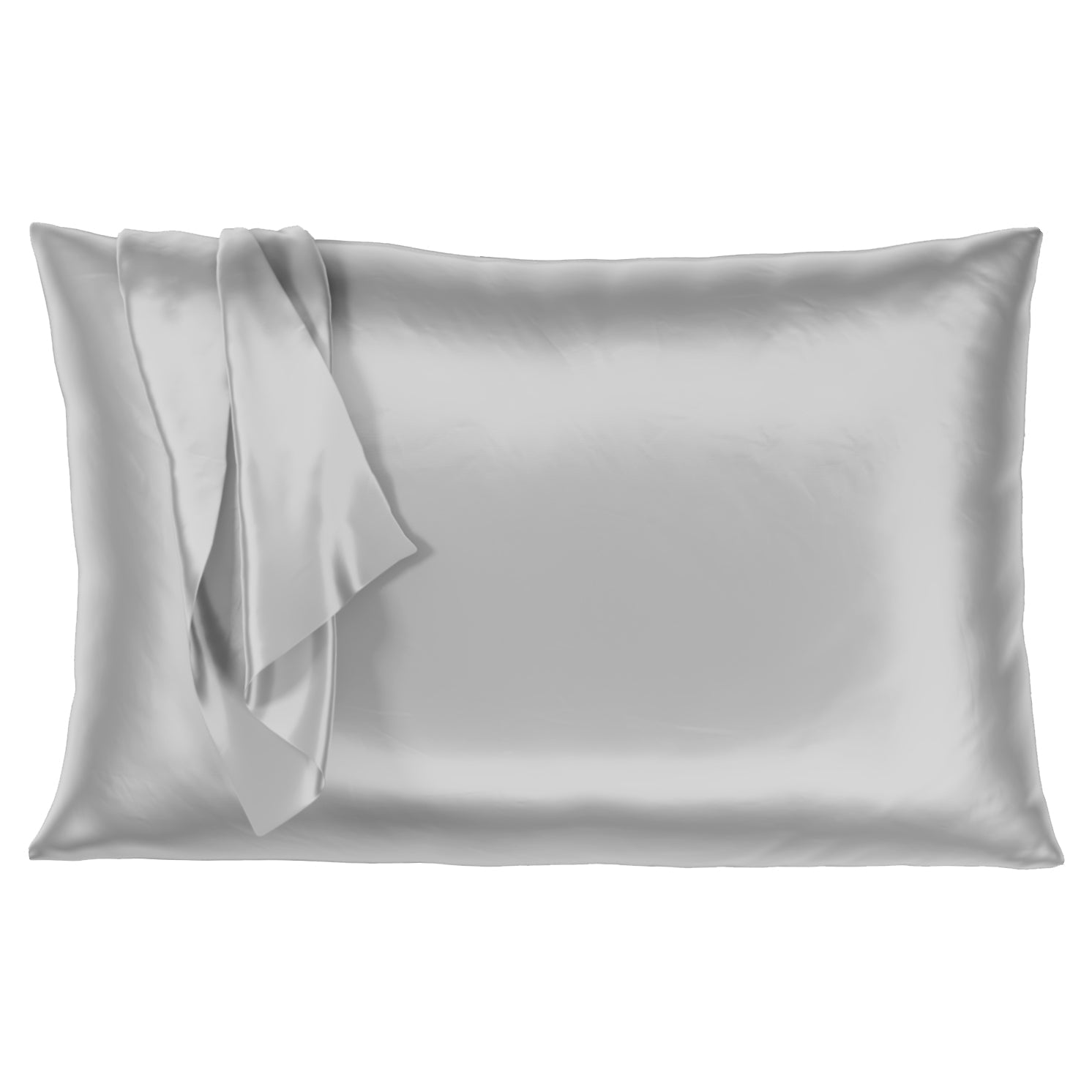 Mulberry Park 100% Silk Pillowcase - 22 Momme, Grade 6A Mulberry Silk - Hidden Zipper Closure - Silver/Queen (20" x 30")