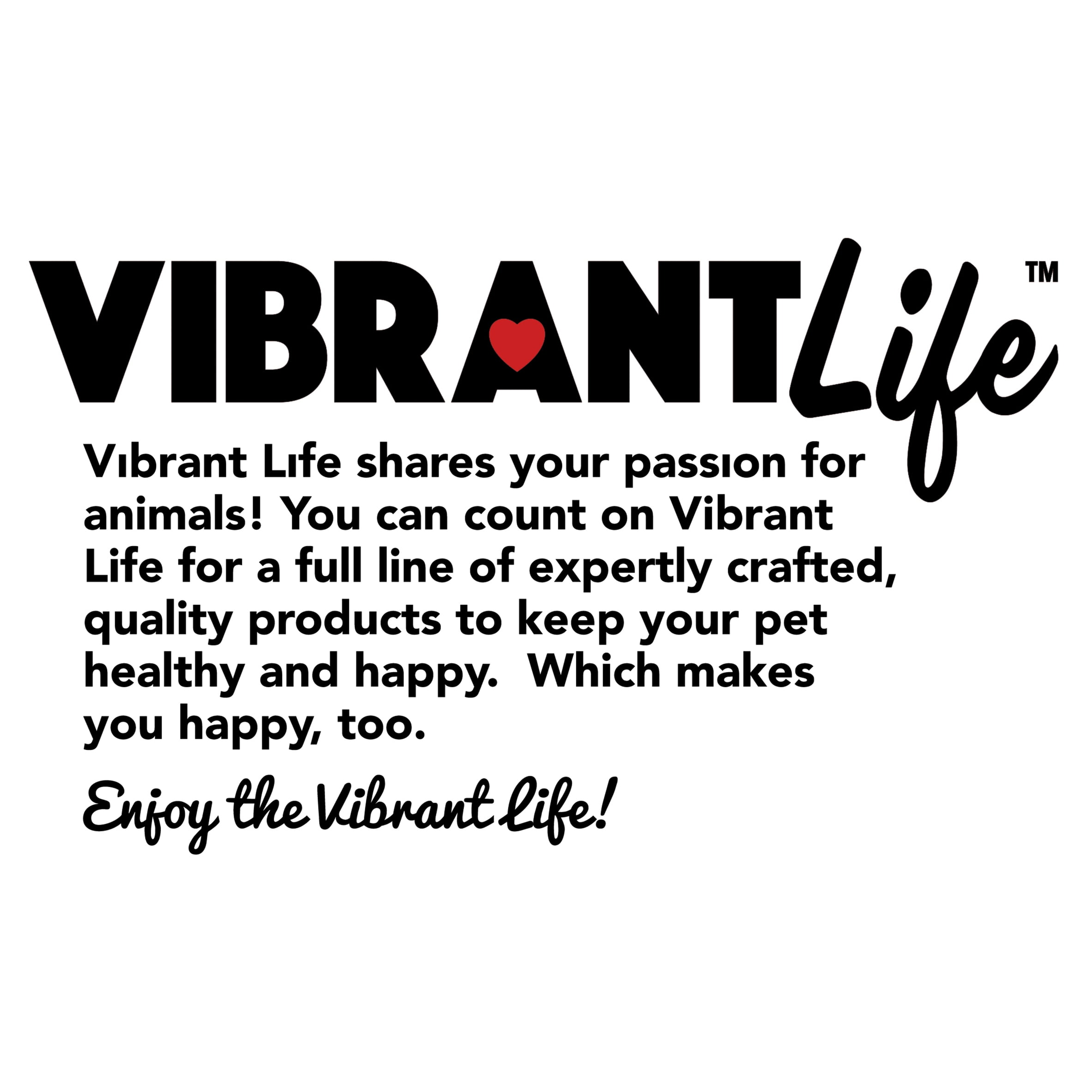 Vibrant Life Studded Fashion Dog Collar, Black, Small