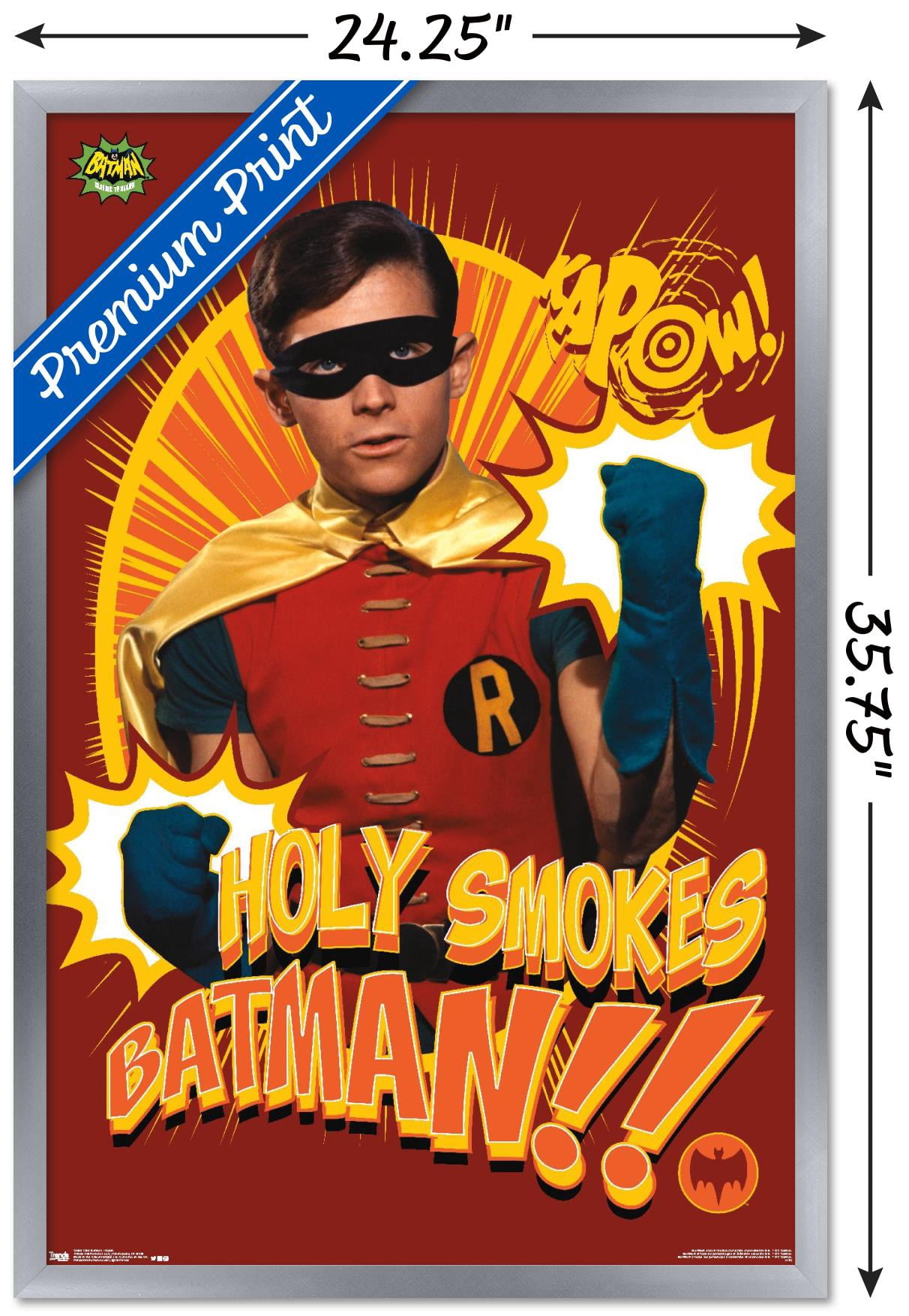 DC Comics TV - Batman TV Series - Robin Wall Poster, 22.375" x 34" Framed