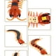thumbnail image 2 of Interactivos Gato Ciempiés Con Control Remoto Con (intermedio), 2 of 9