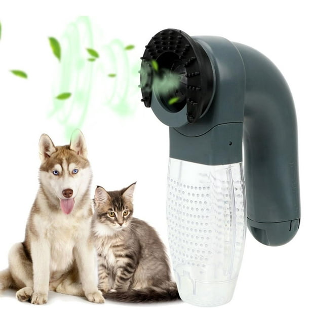 Poil d'animal domestique électrique Portable Aspirateur Remover Brosse Chat  Chien 