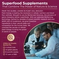 thumbnail image 5 of VIN-IA Piceid Resveratrol Superfood Powder | 12-Hour Support for Heart Health & Blood Flow, 60 Count(60 Servings), 5 of 9