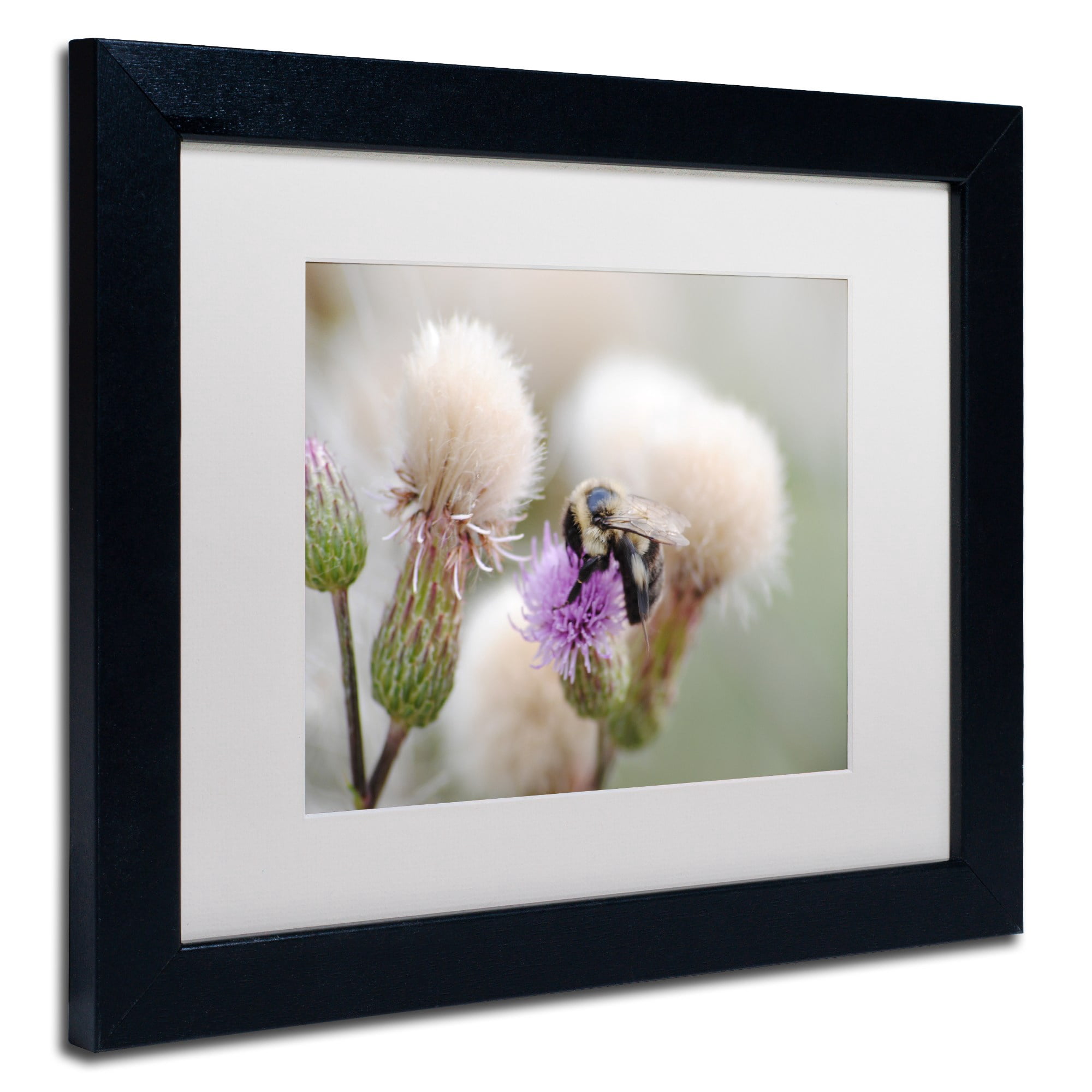 Trademark Fine Art "Defeated" Canvas Art by Monica Mize, White Matte, Black Frame