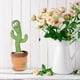 thumbnail image 2 of Juguete De Peluche De Cactus Bailando Juguete De Cactus Parlante Alimentado Por Batería Iluminado In WD.WDQZL Juguete, 2 of 6
