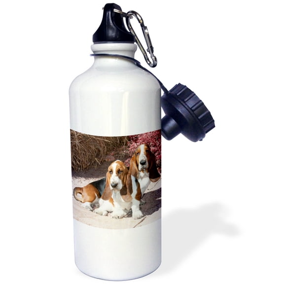 3dRose, Two purebred Bassett Hound dogs near red bush - NA02 PWO0061 - PiperAnne Worcester, Flip Straw 21oz Water Bottle