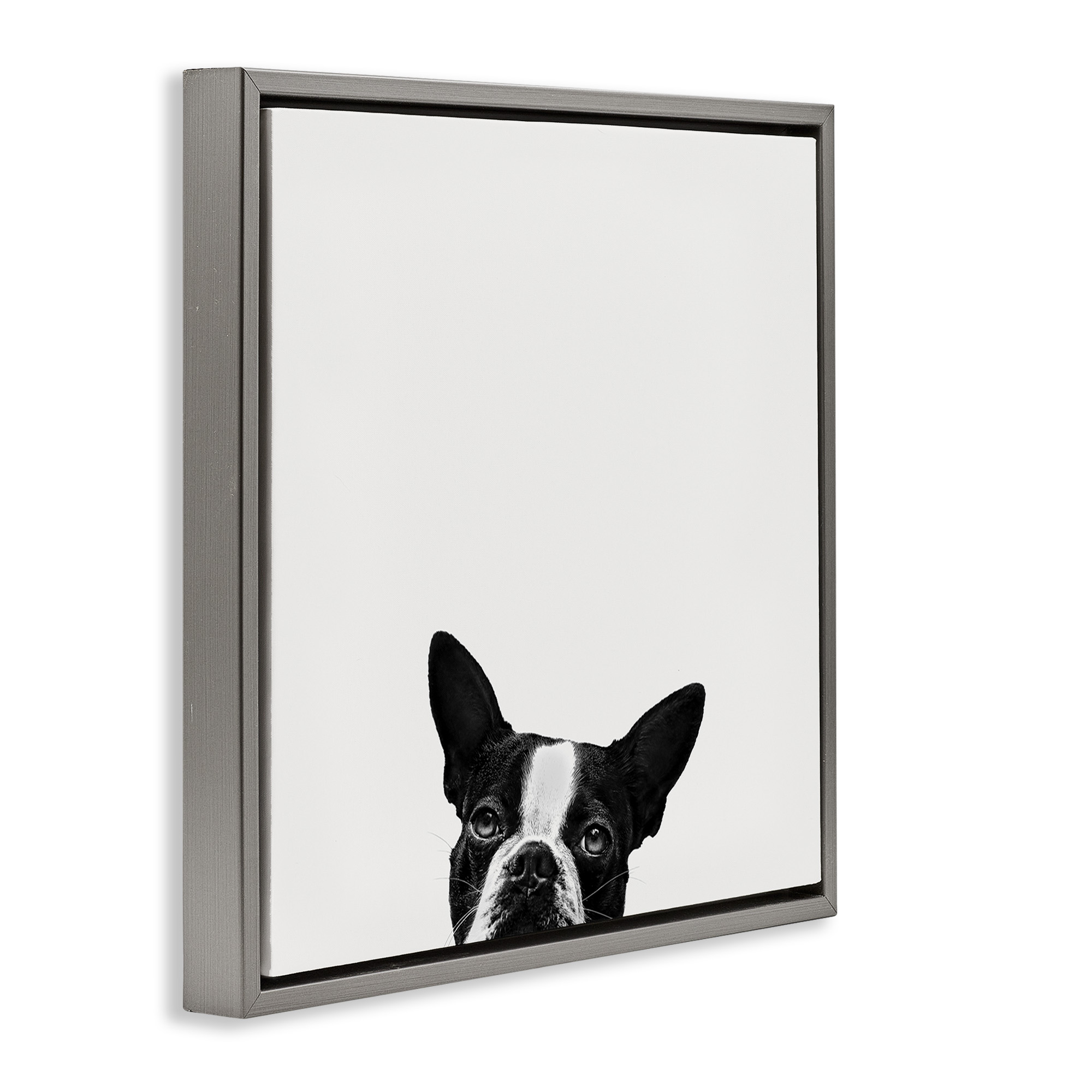 Stupell Industries Dog Peeking From Below Animals & Insects Painting Gray Floater Framed Canvas Art Print Wall Art, 18 x 18