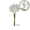 White, variant on Artificial Daffodil Bouquet - Elegant Home Decor & Table Centerpiece for Weddings, Living Rooms, and Special Events, Pack of 2