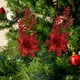 thumbnail image 4 of Oioii 2PCS Christmas Poinsettia Flower Decorations - Artificial Ornaments for Xmas Tree, Wreath, Wedding Party Decor, 4 of 6