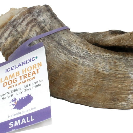 UPC: 0854854007636 | Icelandic+ Small Lamb Horn with Marrow Dog Chew