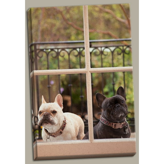 Gango Home Decor A Dog's Life II by Karyn Millet (Ready to Hang); One 24x36in Hand-Stretched Canvas