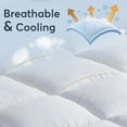 thumbnail image 4 of Thinway Twin Mattress Topper, Cooling, Extra Thick, Pressure Relief, 400TC, 8-21" Deep Pocket, Sensitive Skin, 39x75 Inches White, 4 of 10