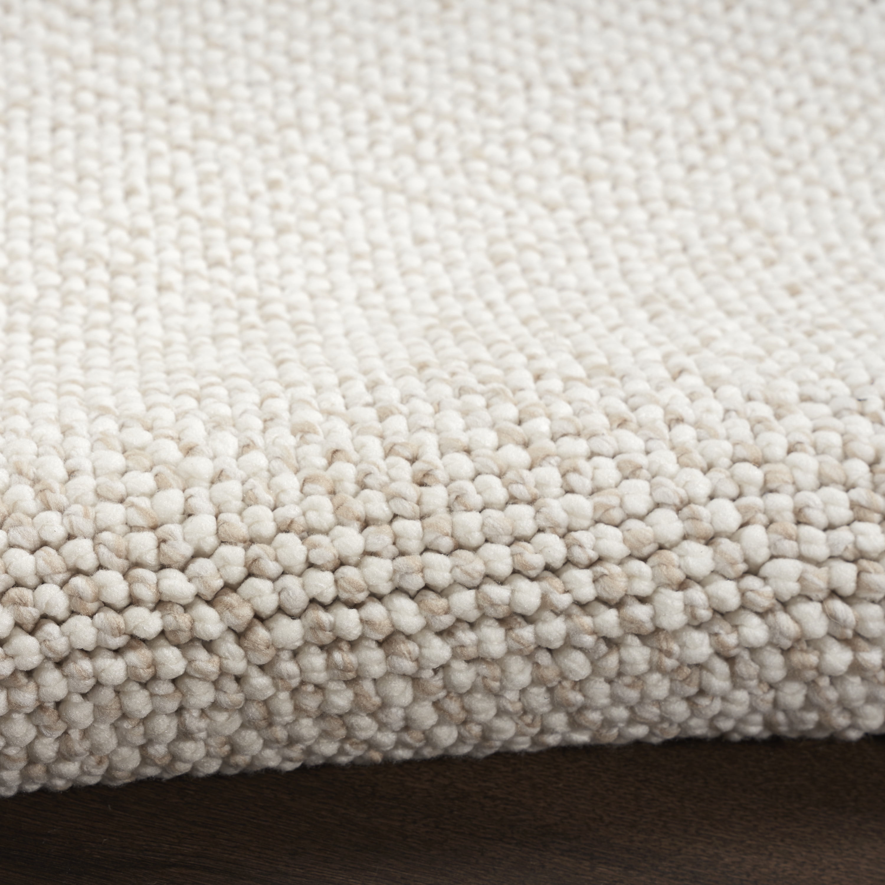 Nourison Natural Texture All-over design Ivory Beige 2'2" x 3'9" Area Rug (2x4)