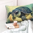 thumbnail image 6 of Disketp Pillow Covers Watercolor Turtle2 Pattern Throw Pillow Case Cushion Covers,Cushion For Bedroom,Couch,Home-20"X30", 6 of 8
