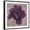Black Frame, variant on Art.com Black Plum 1 Stretched Canvas Print Wall Art by Ariane Martine, 24" x 24"