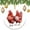 pattern-2, variant on Ceramics Ornaments Reddish Hens With White 3" Ceramic Christmas Ornament Chicken Lovers Mom Gifts Christmas Xmas Tree Ornament Decoration Hanging Pendant Decor Xmas Gift