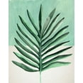 thumbnail image 2 of Warren, Annie 15x18 White Modern Wood Framed Museum Art Print Titled - Verging Palm I, 2 of 4