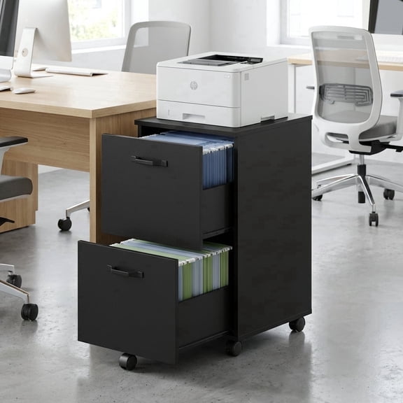 LEDREM 2-Drawer Rolling Storage Unit – Wood File Cabinet with Steel & Particleboard Construction, for Office, Holds A4/Letter Folders, 5 Swivel Casters with Brakes, Supports 77 lbs, Matte Black