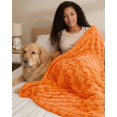 thumbnail image 4 of Utopia Bedding Plush Checkered Fleece Blanket Burnt Orange Queen 90x90 Inch Travel Friendly, Soft Cozy Throw Blanket for Couch, Sofa, Bed - Home Decor Gift for Kids, Women and Men, 4 of 5