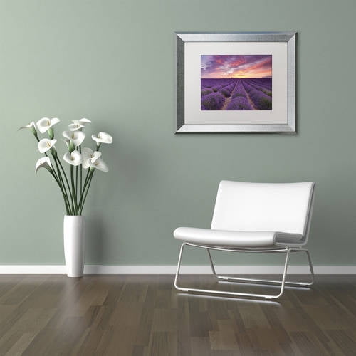 Trademark Fine Art 'Lavender Sunrise' Canvas Art by Michael Blanchette Photography, White Matte, Silver Frame