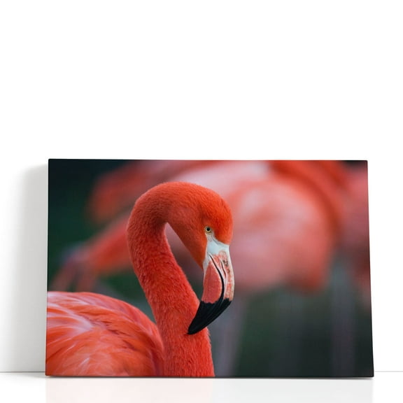 Flamingo's Close-up - Wrapped Canvas Print Wall Art | 18" W x 12" H