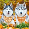 thumbnail image 4 of Fall Dog Bandana Reversible 2 Pack Large, Autumn Orange Daisy Butterfly Buffalo Plaid Cute Fall Pet Bandanas for Dogs Triangle Holiday Scarves for Medium Large Extra Large Boy Girl Dogs, 4 of 6