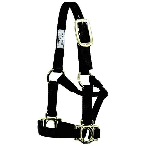 Traditional Nylon Pony Halter